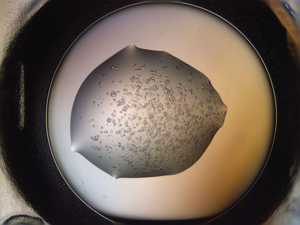 0694_H12_ImagerDefaults_8.jpg