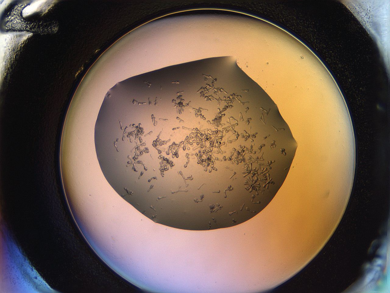 0694_H12_ImagerDefaults_7.jpg