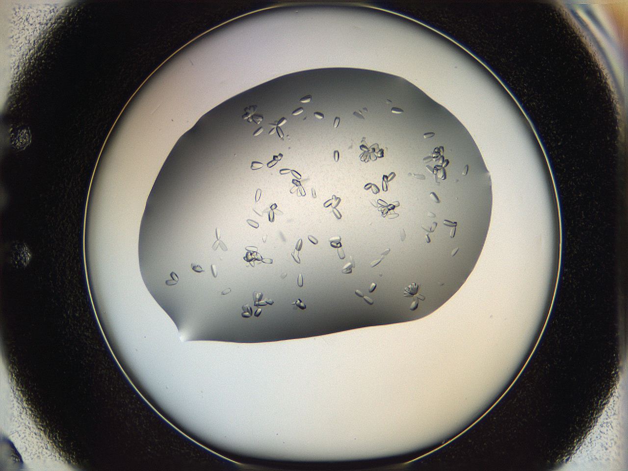 0695_E2_ImagerDefaults_8.jpg