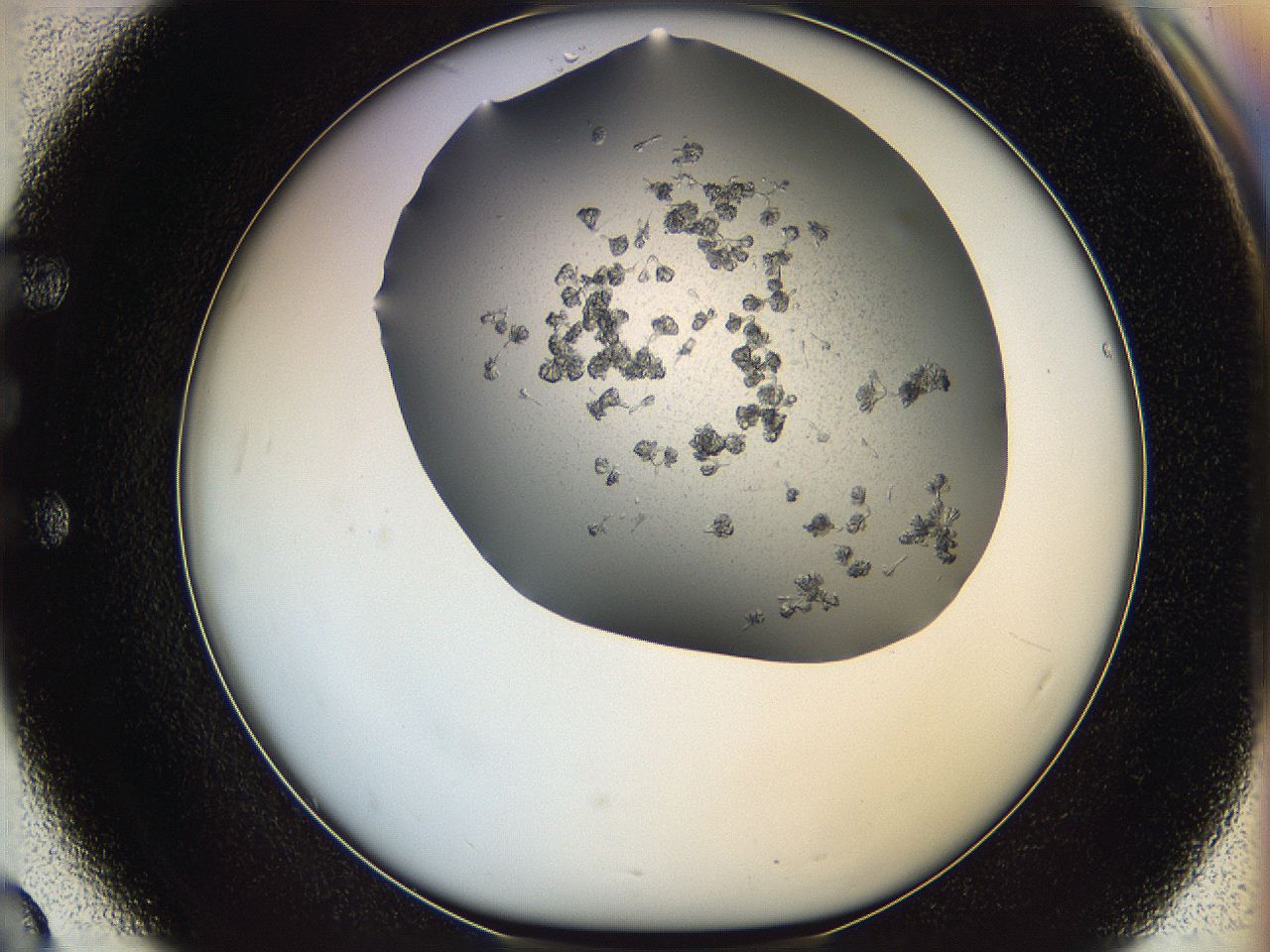 0695_E3_ImagerDefaults_7.jpg