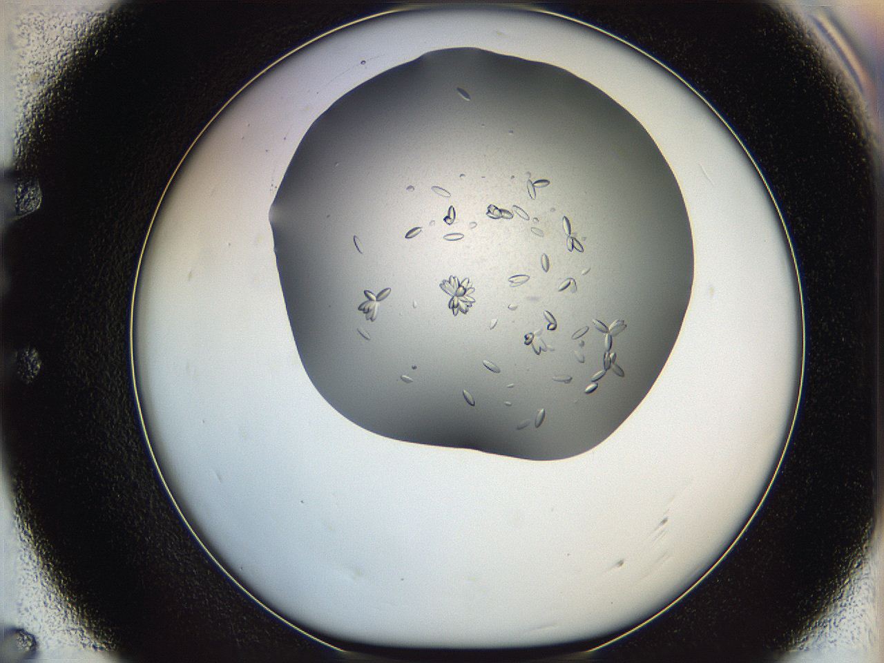 0695_E7_ImagerDefaults_7.jpg