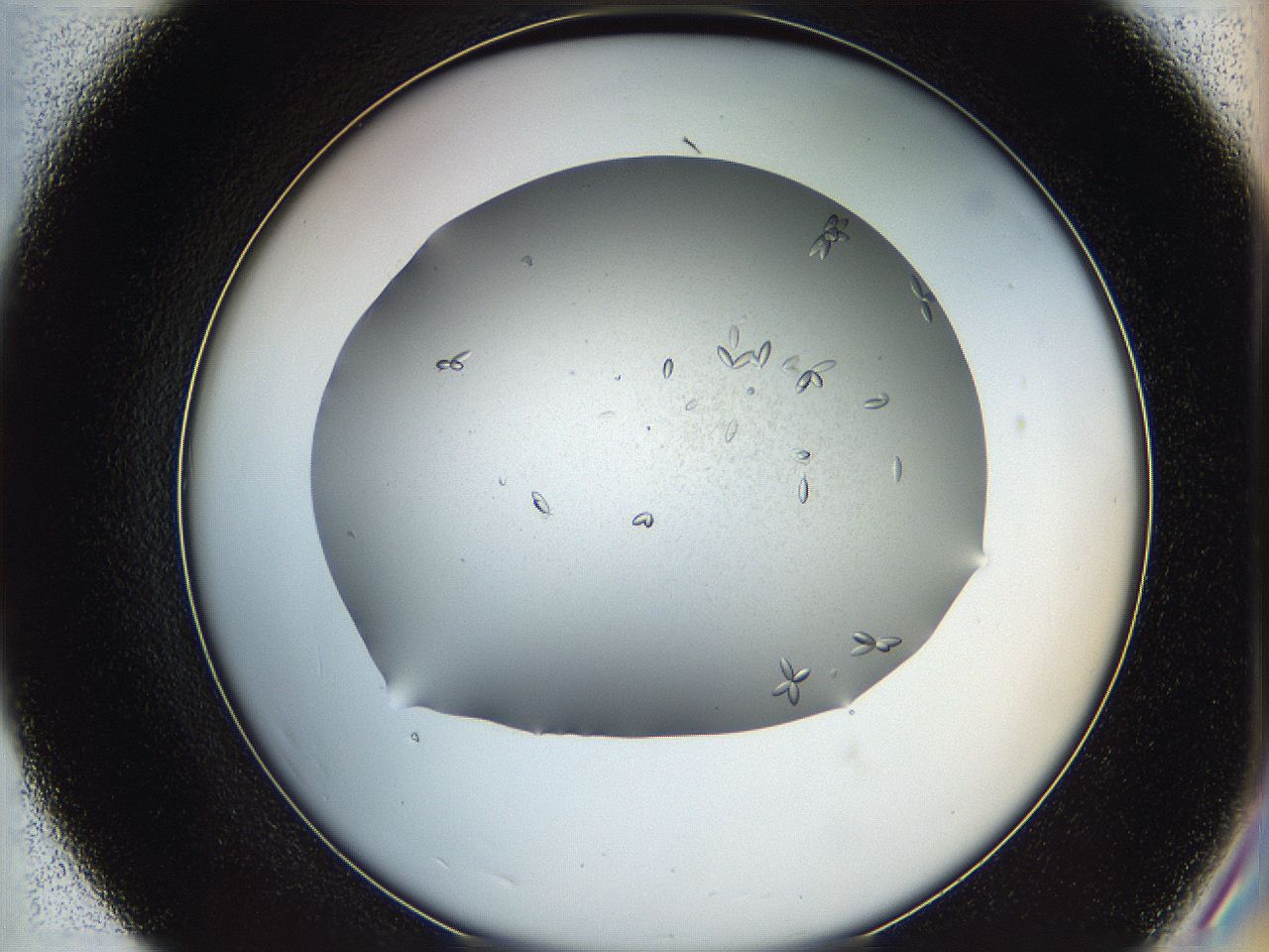 0695_E7_ImagerDefaults_8.jpg