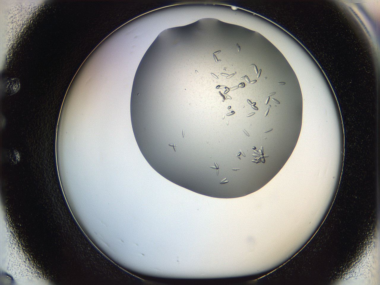 0695_E8_ImagerDefaults_7.jpg