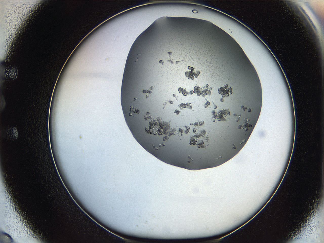 0695_E9_ImagerDefaults_7.jpg