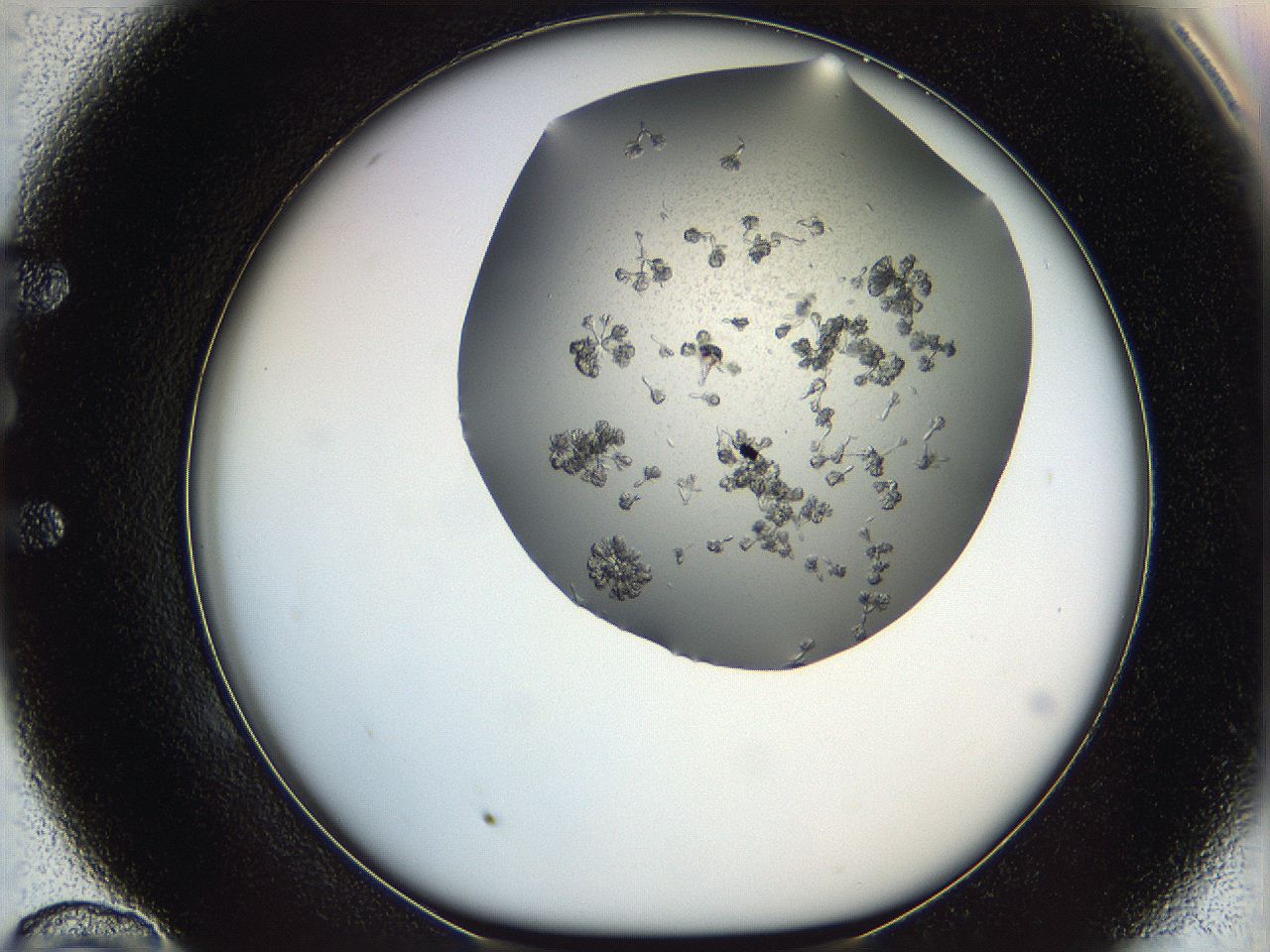 0695_E10_ImagerDefaults_8.jpg