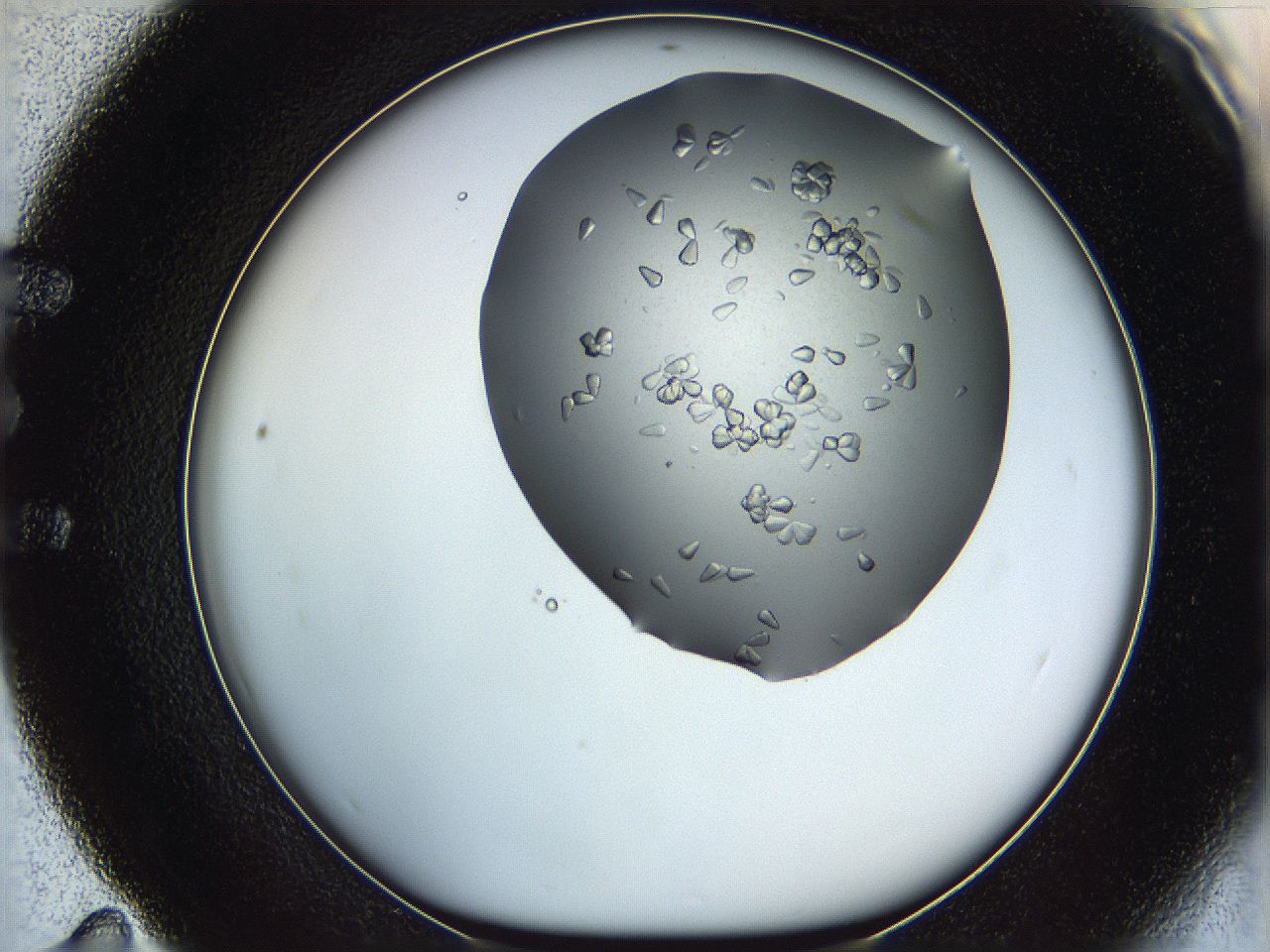 0695_E11_ImagerDefaults_7.jpg