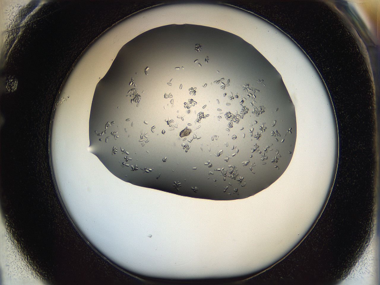 0695_F1_ImagerDefaults_7.jpg