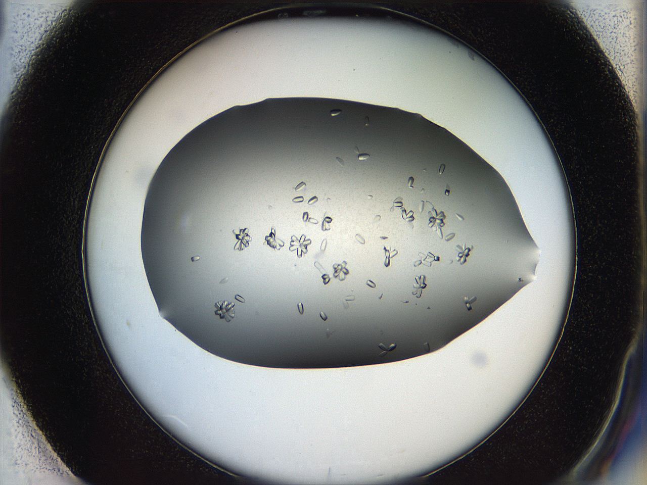 0695_F1_ImagerDefaults_8.jpg