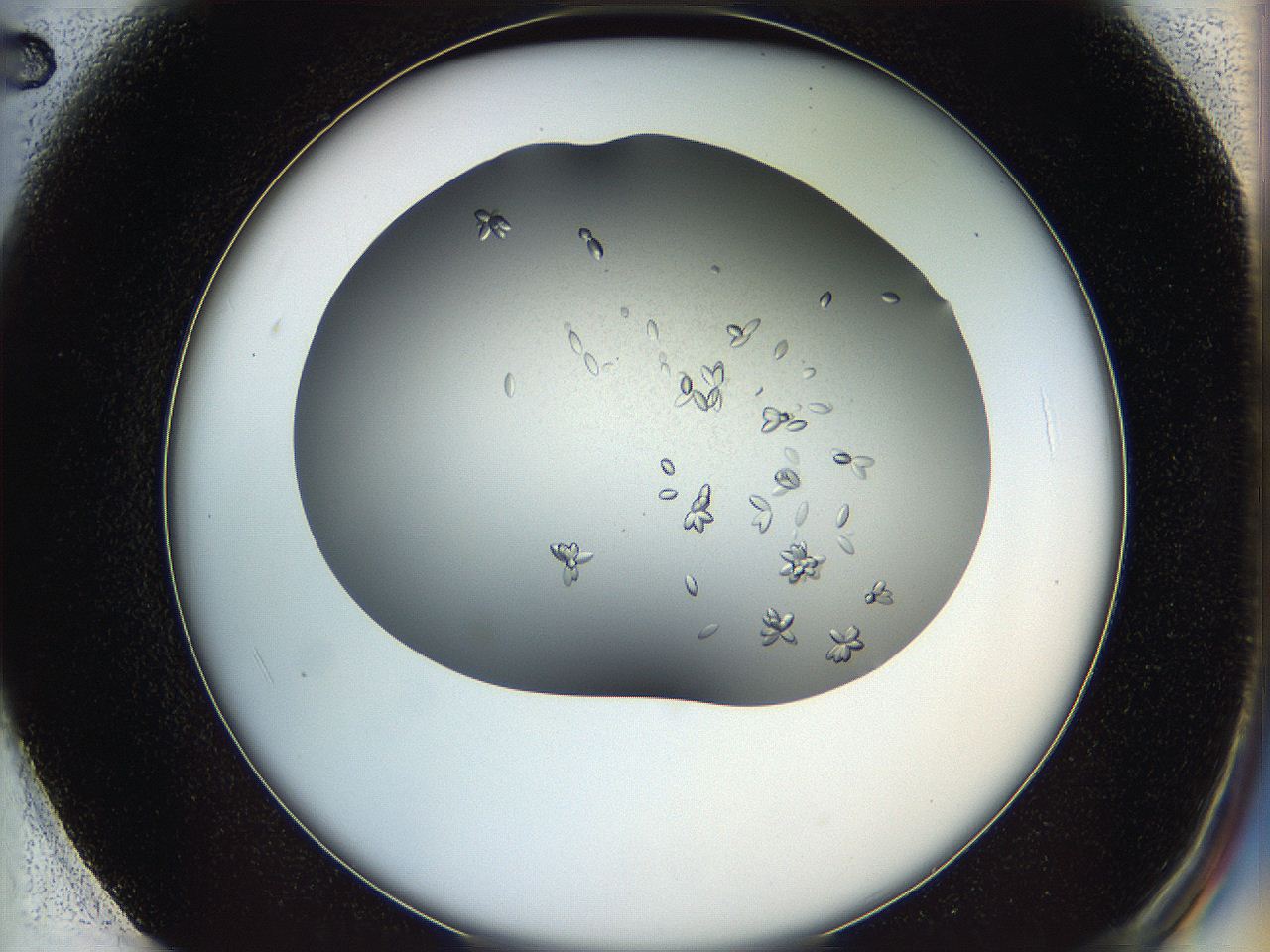 0695_F2_ImagerDefaults_8.jpg