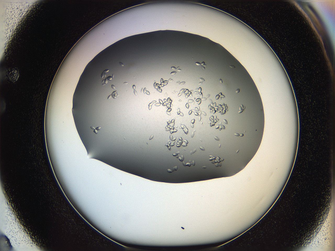0695_F3_ImagerDefaults_7.jpg