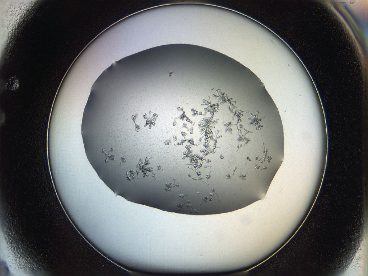 0695_F4_ImagerDefaults_7.jpg