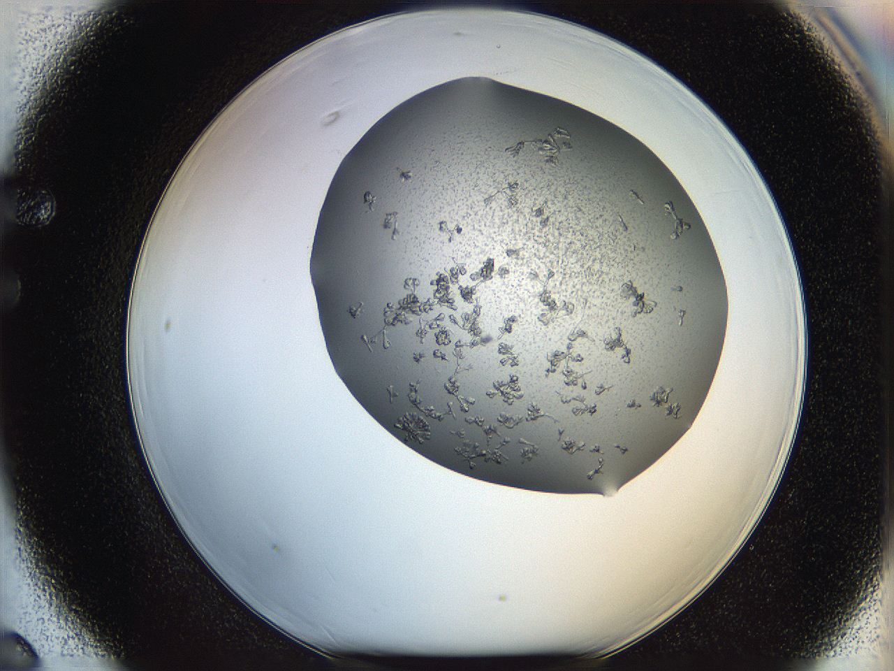 0695_F6_ImagerDefaults_7.jpg