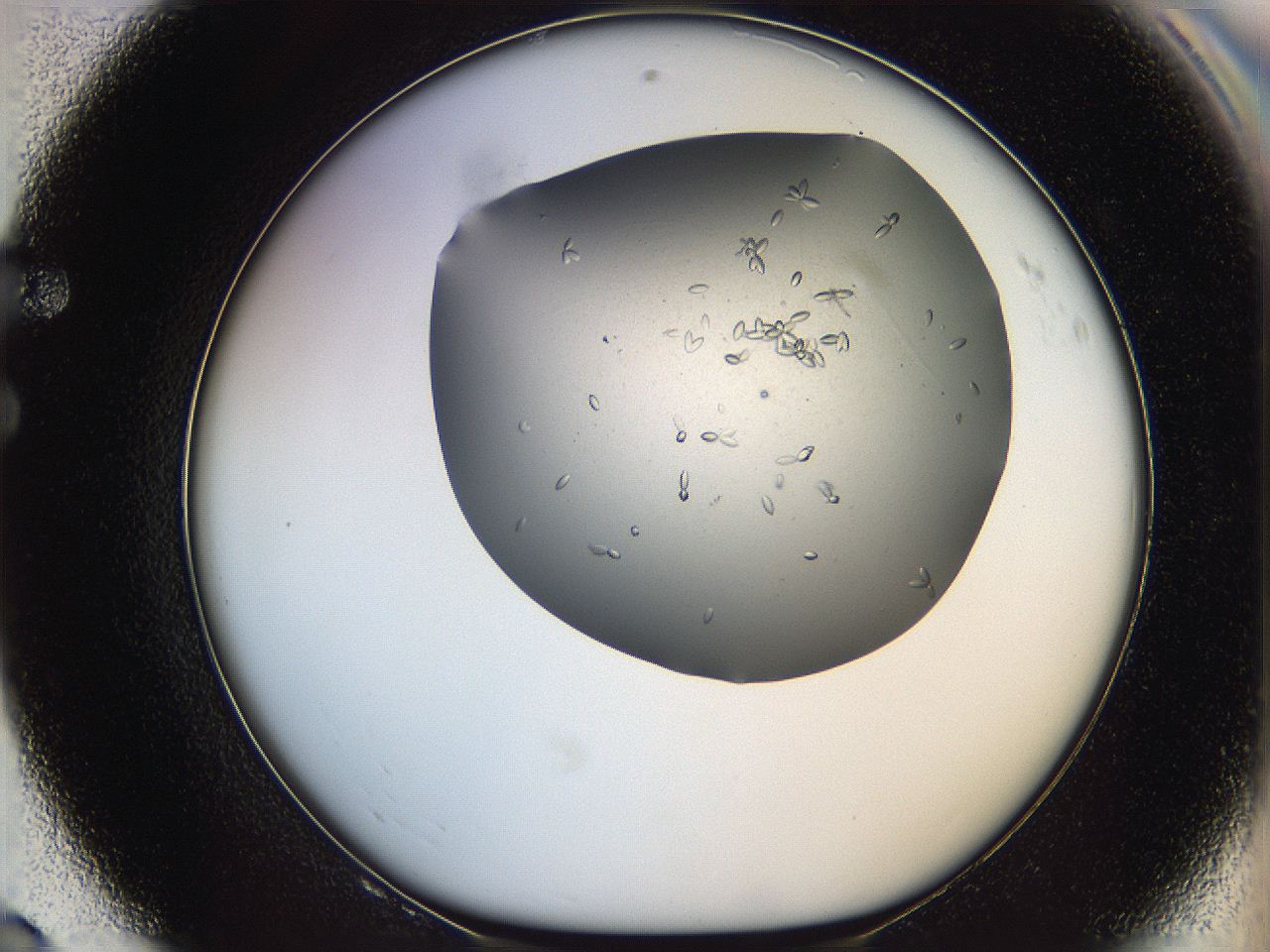 0695_F8_ImagerDefaults_7.jpg