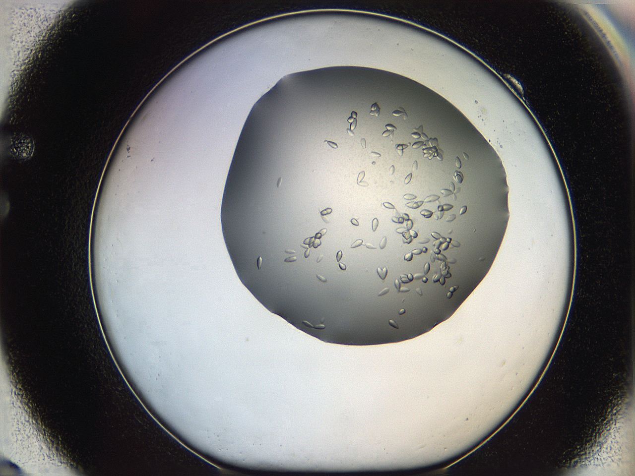 0695_F9_ImagerDefaults_7.jpg