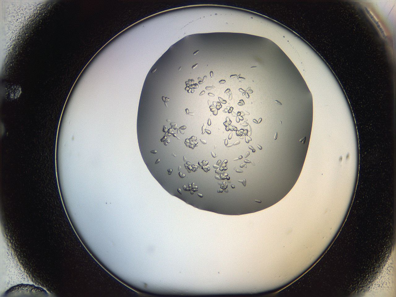 0695_F10_ImagerDefaults_7.jpg