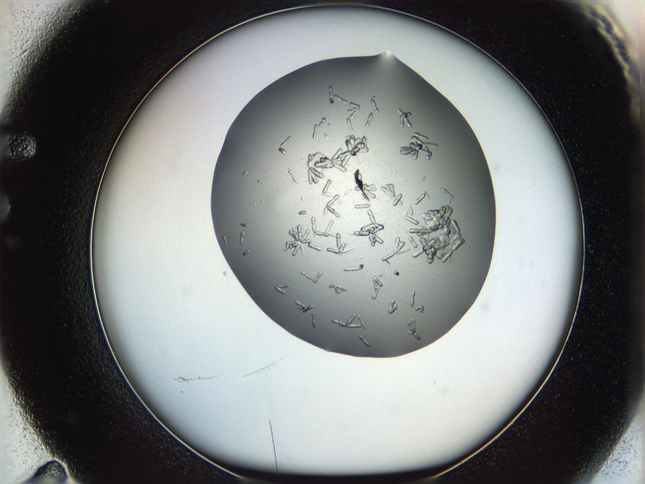 0695_F11_ImagerDefaults_7.jpg