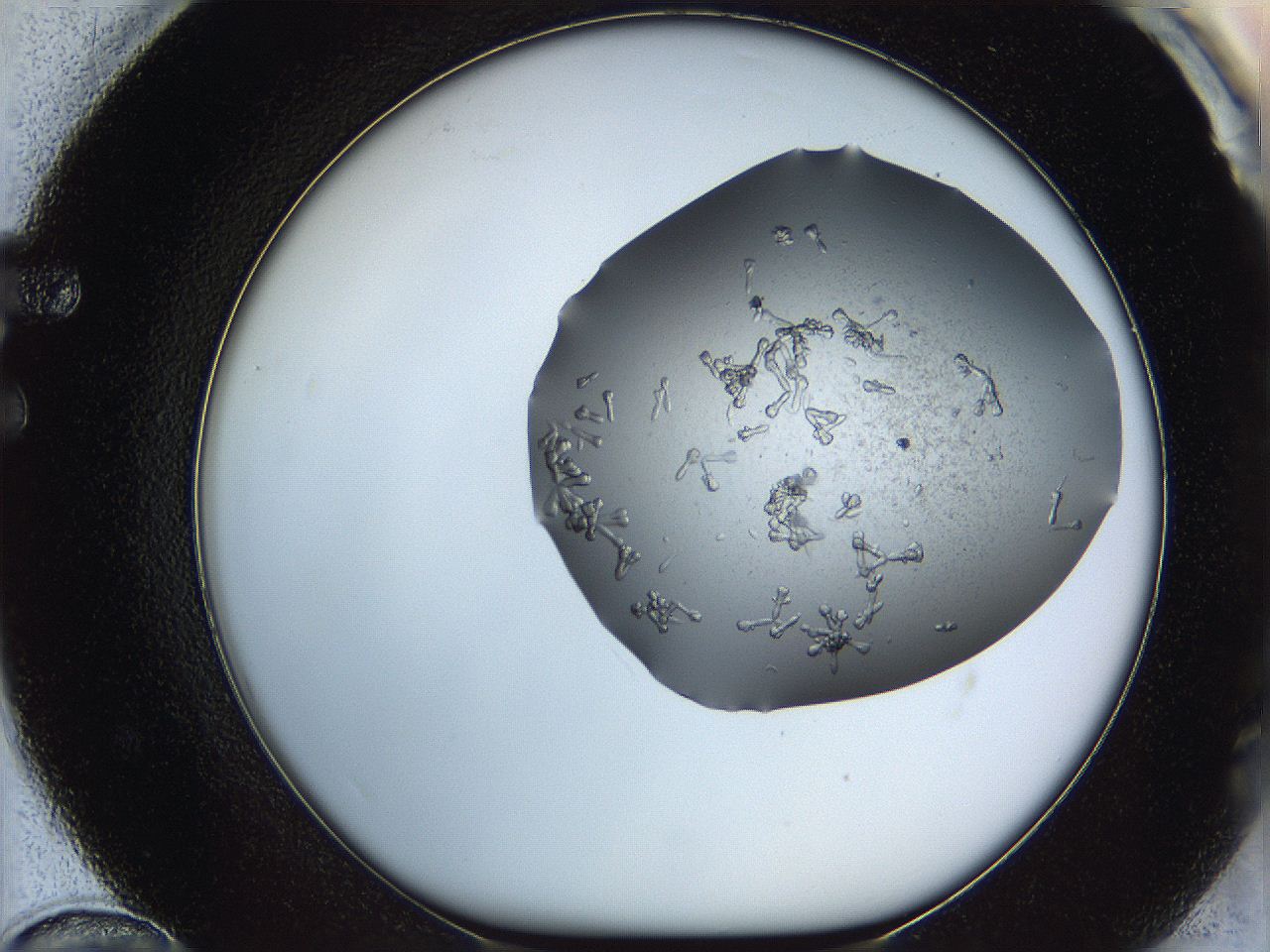 0695_F12_ImagerDefaults_7.jpg