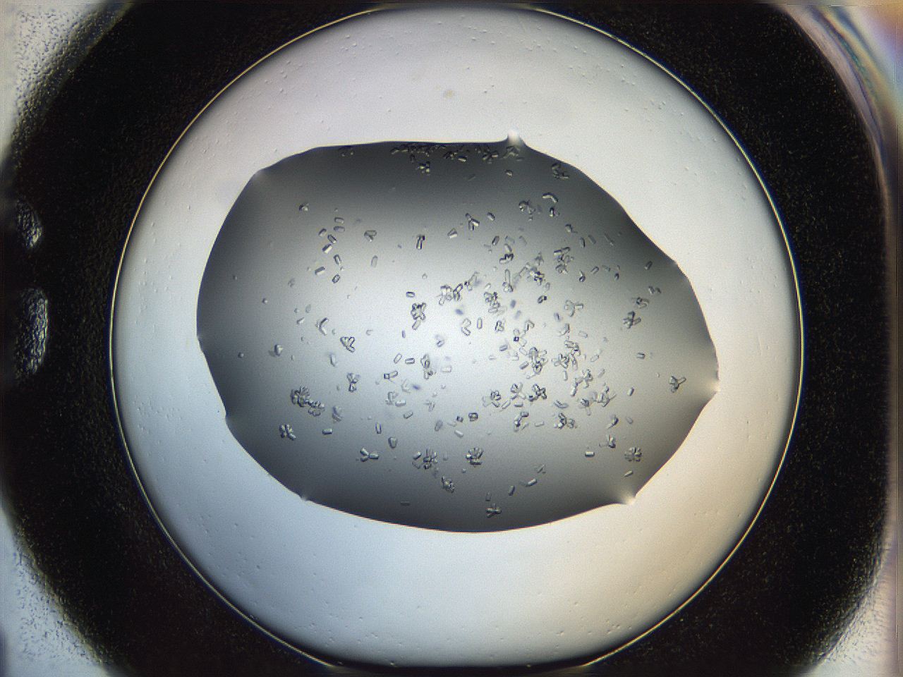 0695_G1_ImagerDefaults_7.jpg