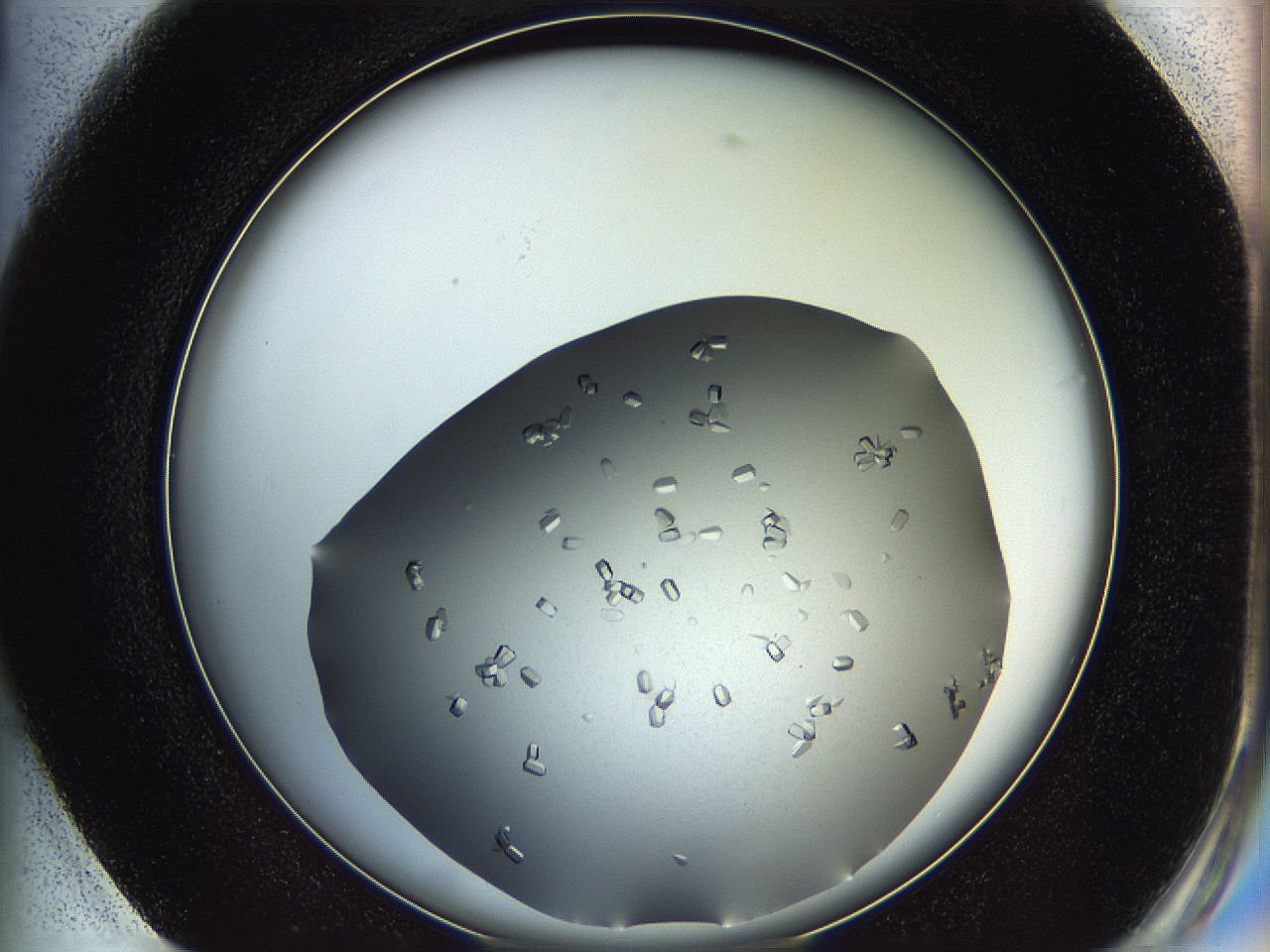 0695_G1_ImagerDefaults_8.jpg