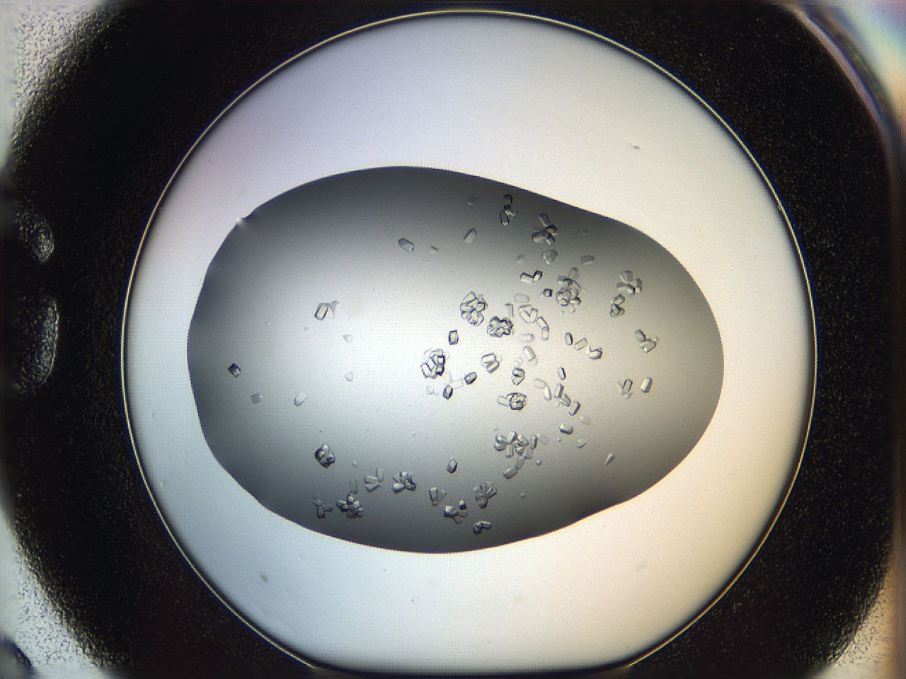0695_G3_ImagerDefaults_8.jpg