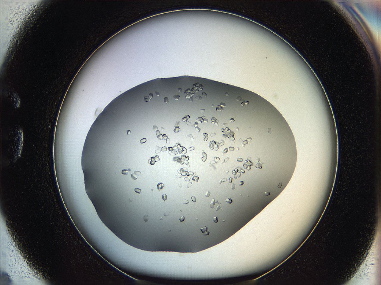 0695_G4_ImagerDefaults_8.jpg