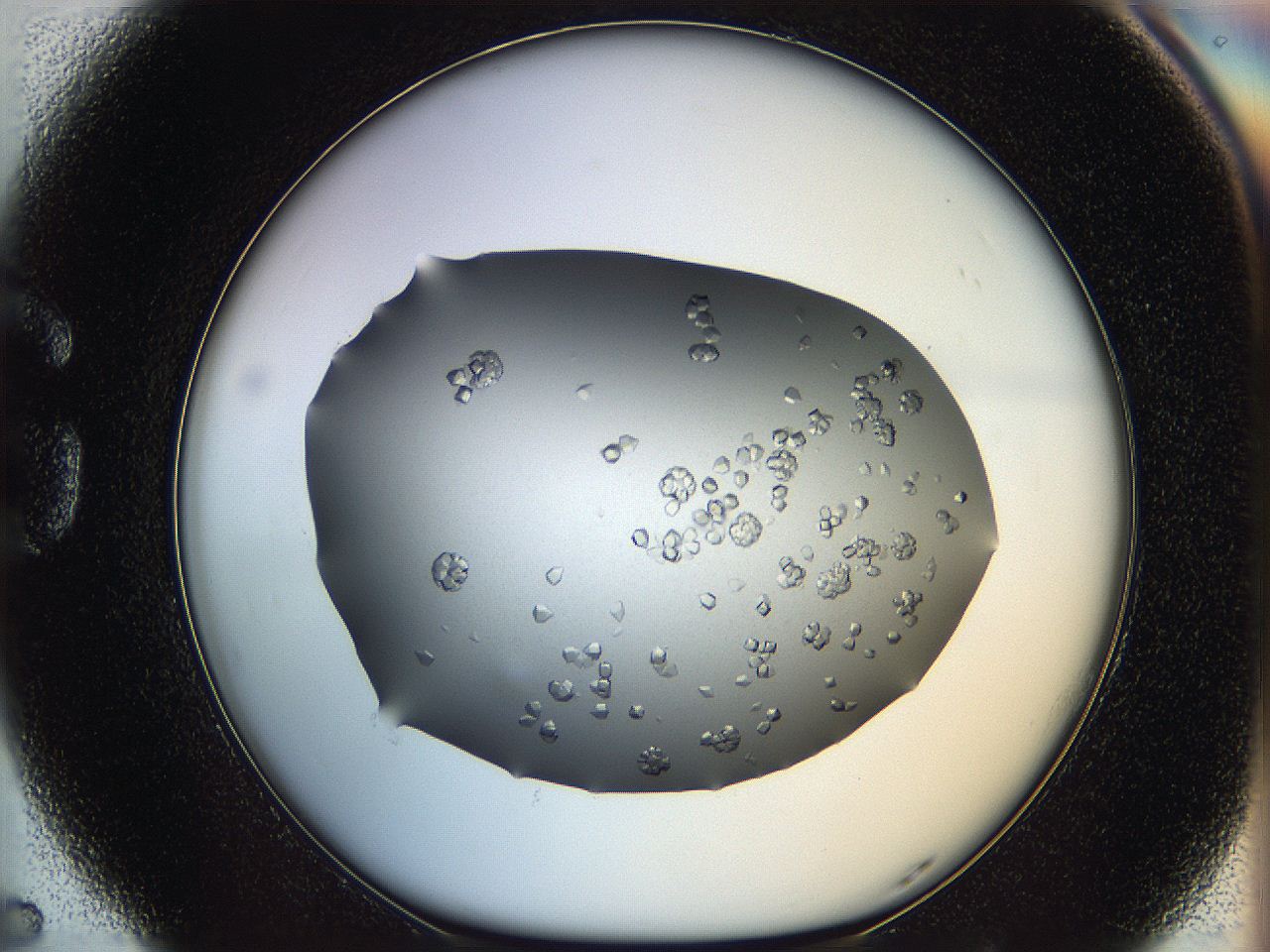 0695_G5_ImagerDefaults_7.jpg