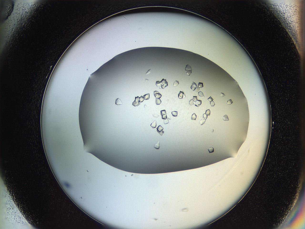 0695_G5_ImagerDefaults_8.jpg