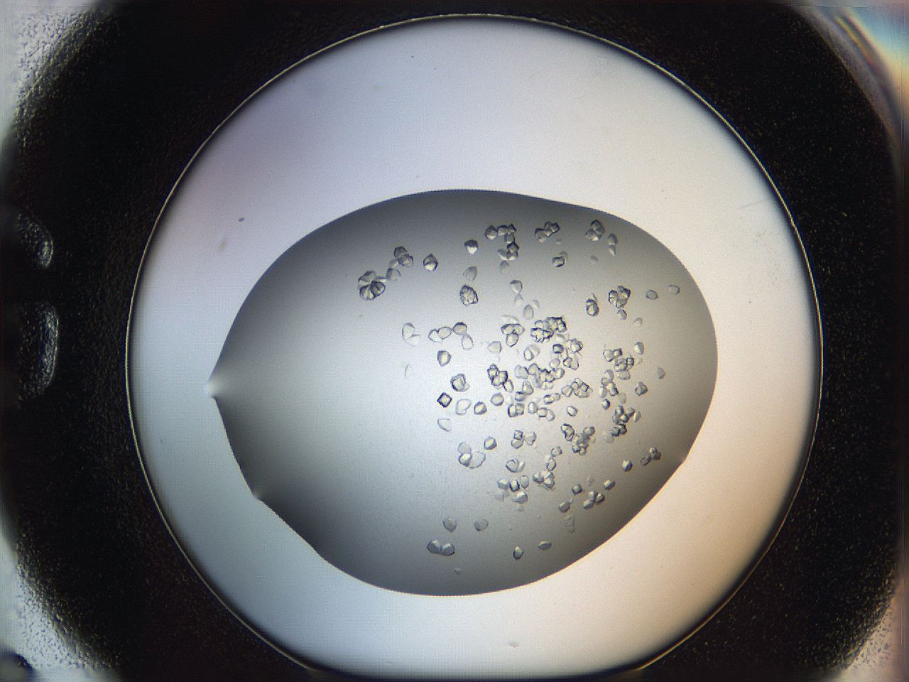 0695_G6_ImagerDefaults_7.jpg