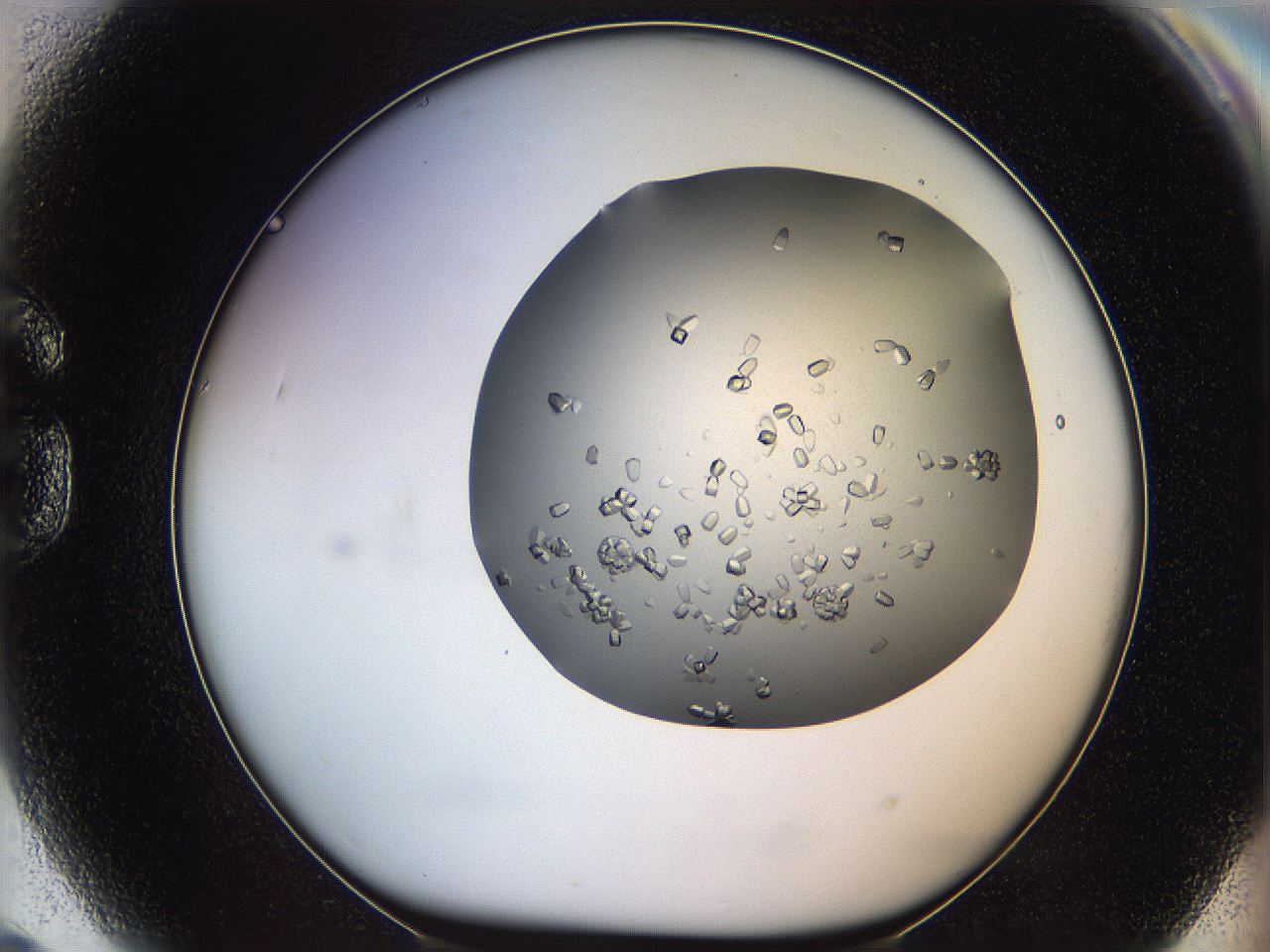 0695_G9_ImagerDefaults_8.jpg