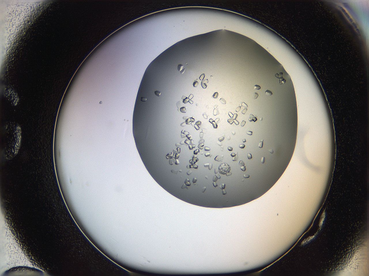 0695_G10_ImagerDefaults_8.jpg