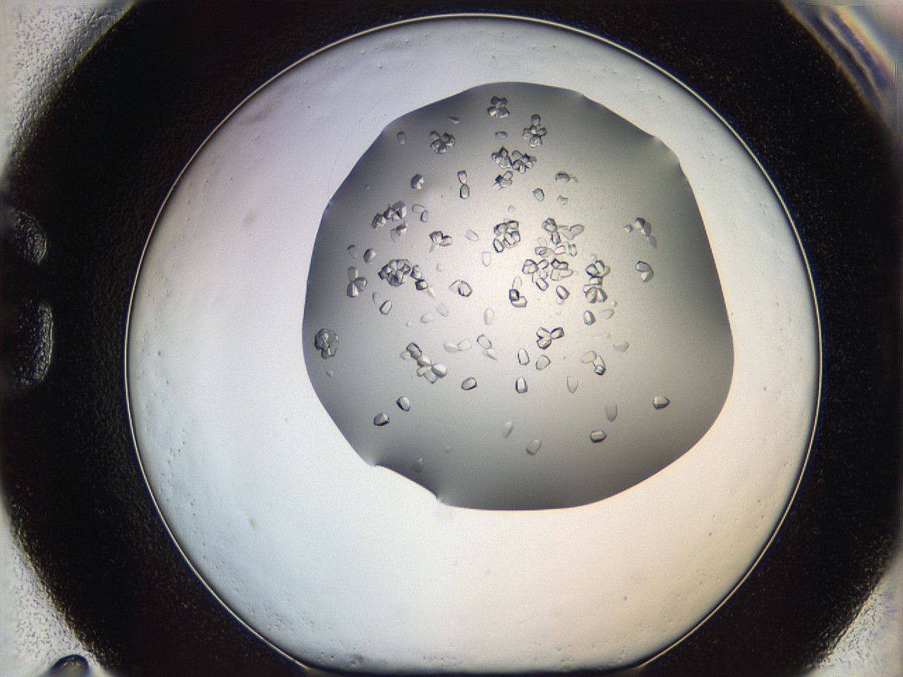0695_G11_ImagerDefaults_8.jpg