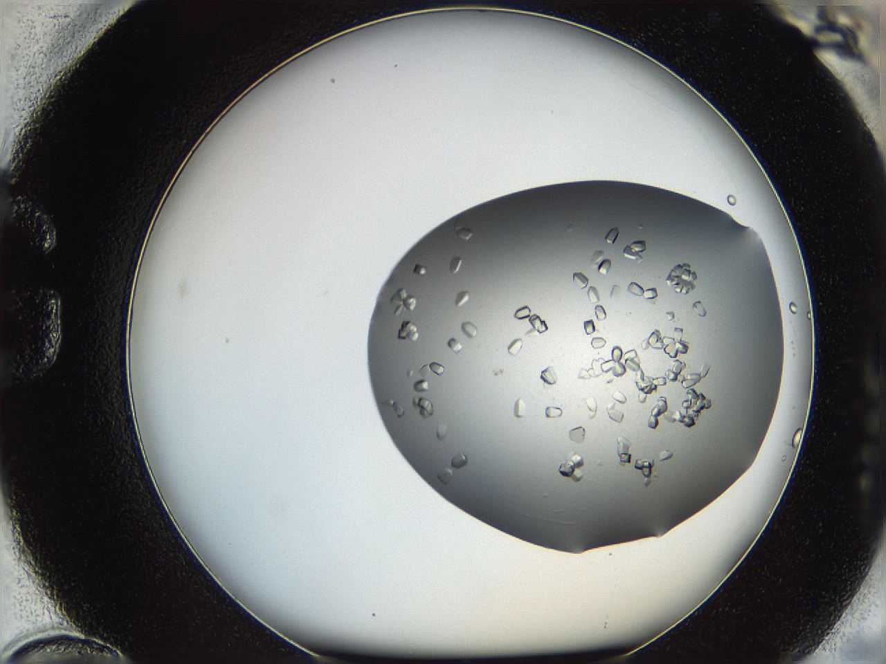 0695_G12_ImagerDefaults_8.jpg