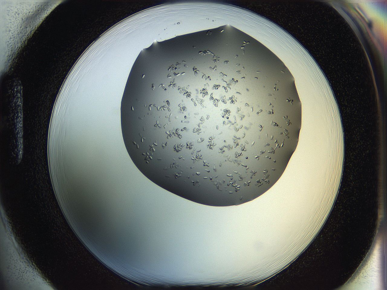 0695_H1_ImagerDefaults_7.jpg