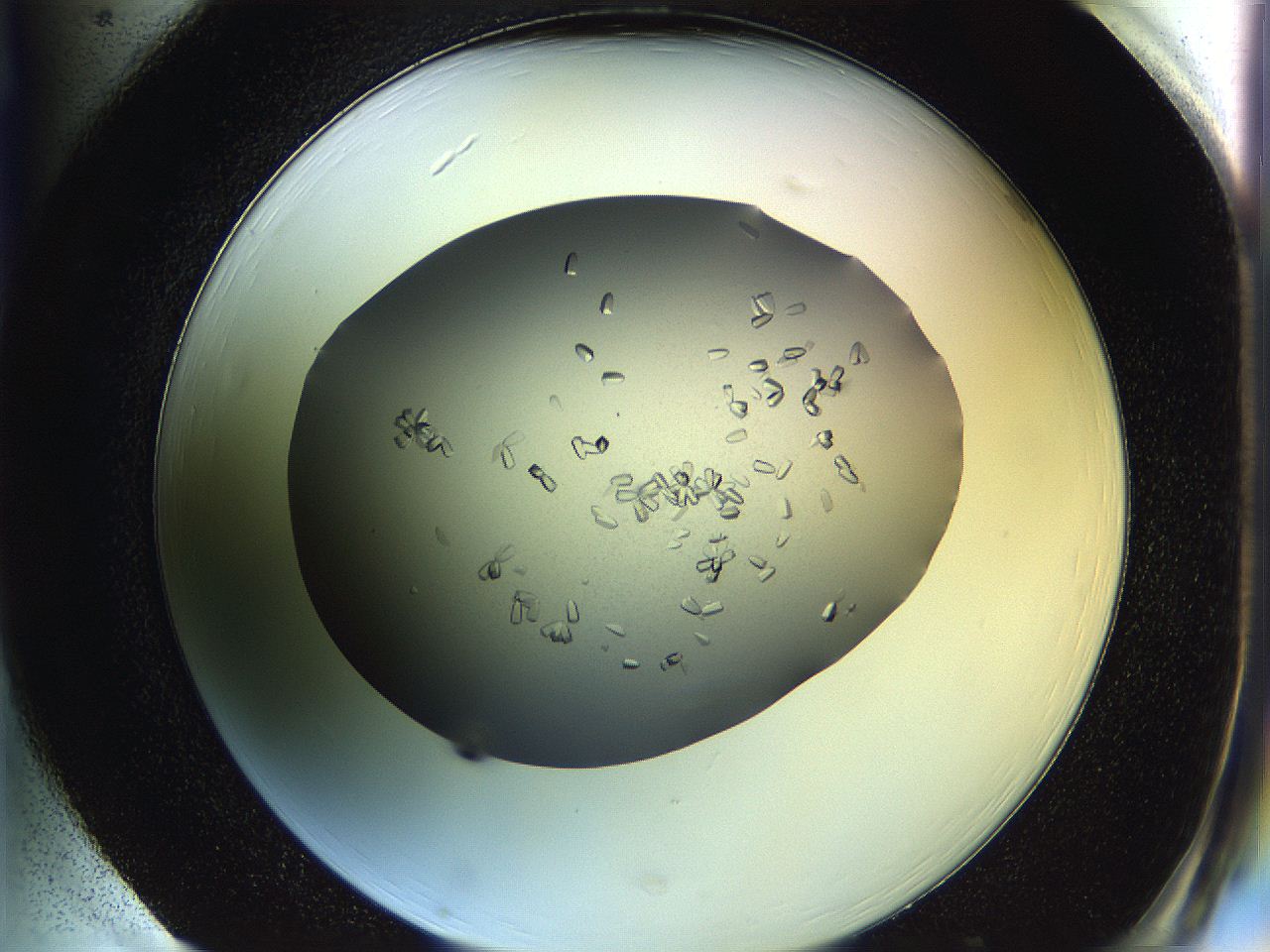 0695_H1_ImagerDefaults_8.jpg