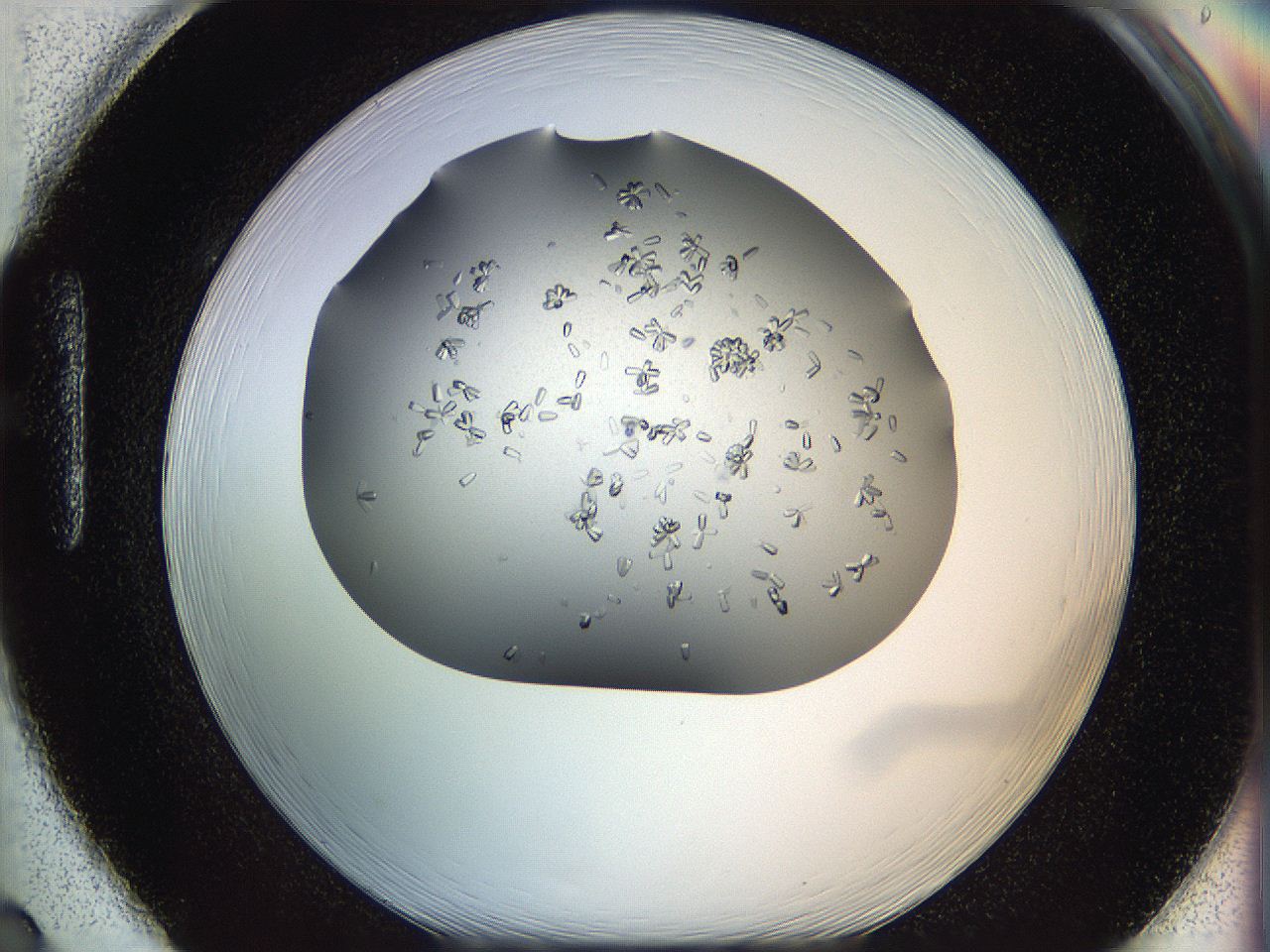 0695_H2_ImagerDefaults_7.jpg