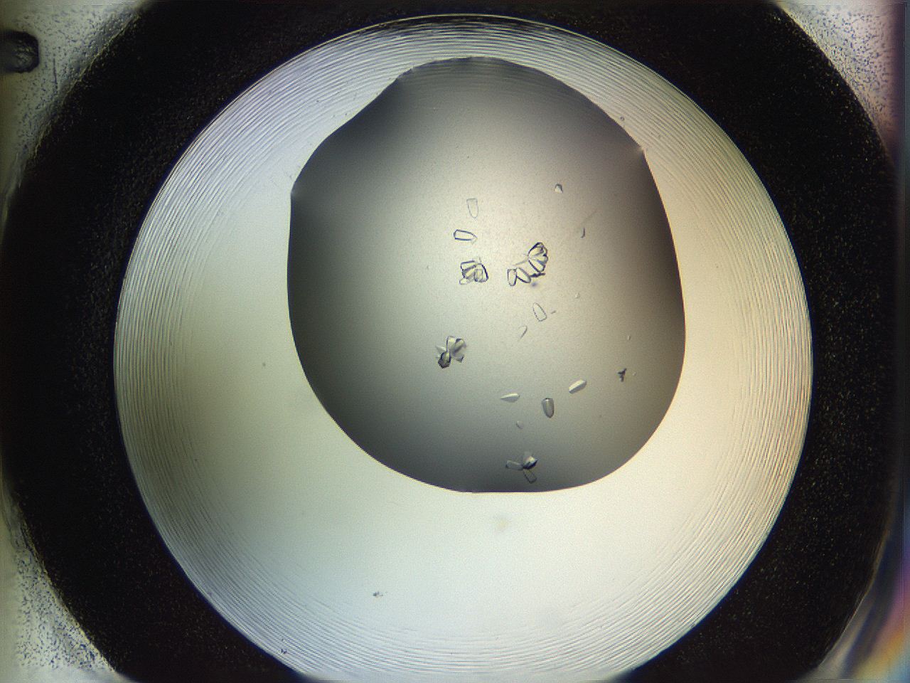0695_H2_ImagerDefaults_8.jpg