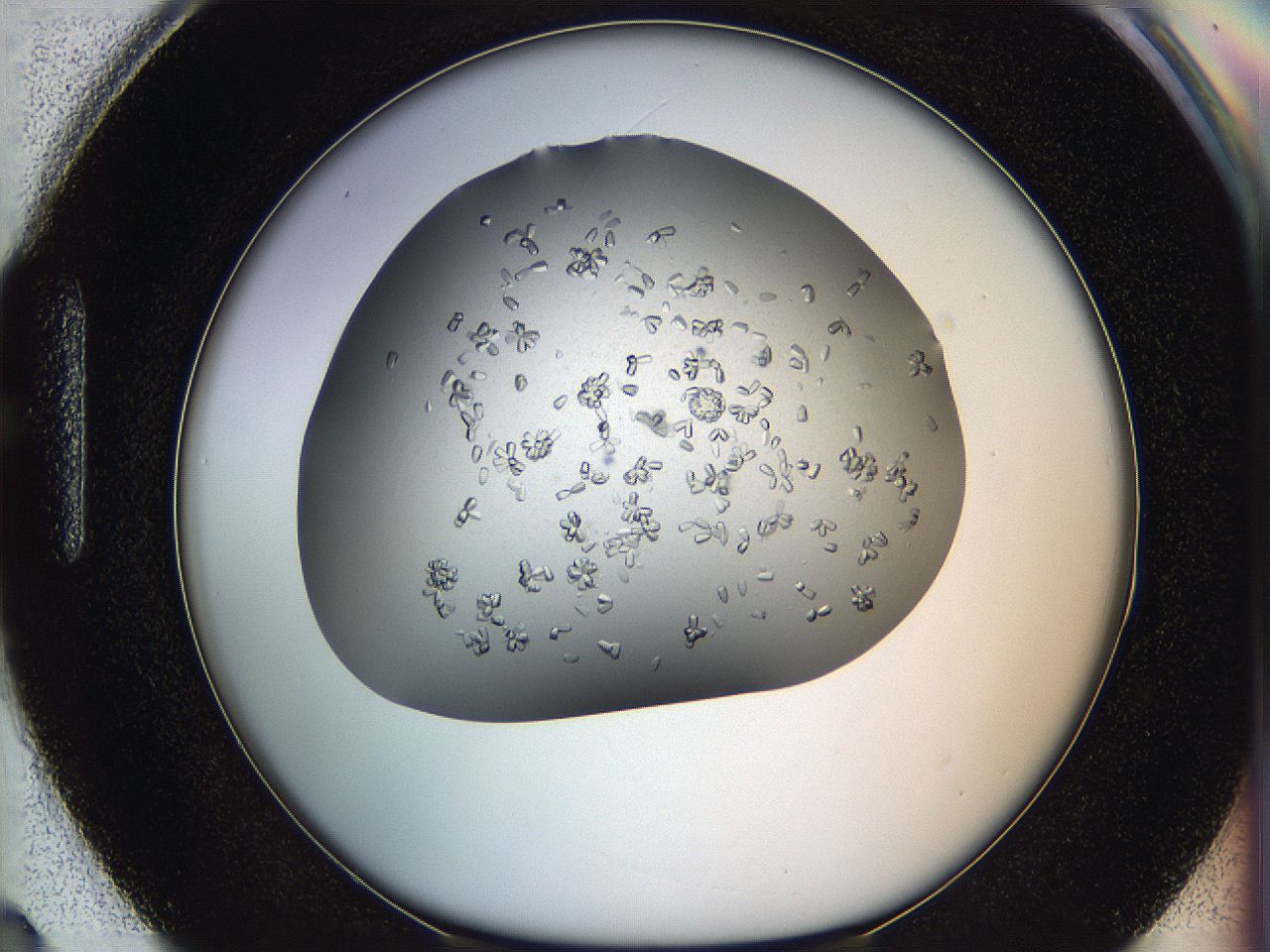 0695_H3_ImagerDefaults_7.jpg