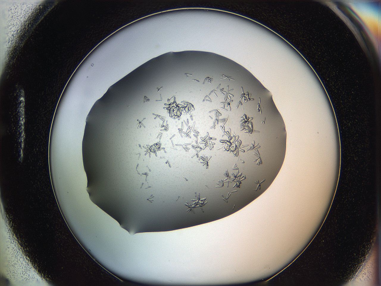 0695_H4_ImagerDefaults_7.jpg