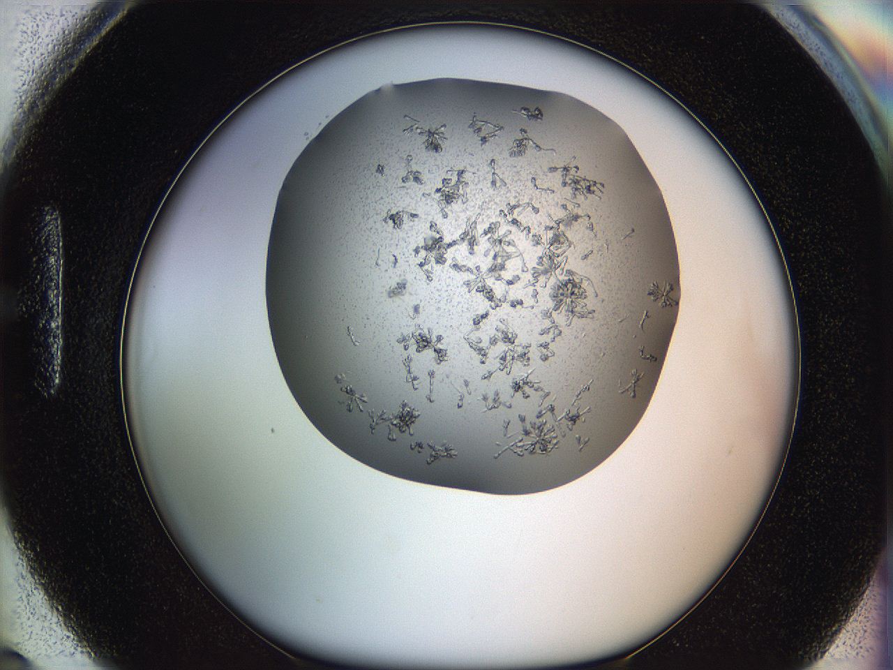 0695_H6_ImagerDefaults_7.jpg