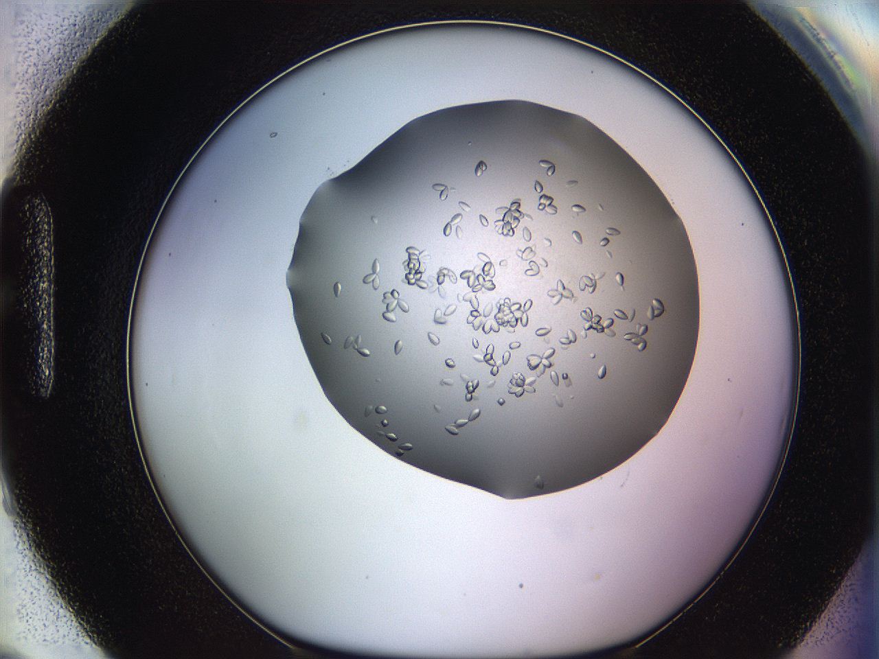 0695_H9_ImagerDefaults_7.jpg