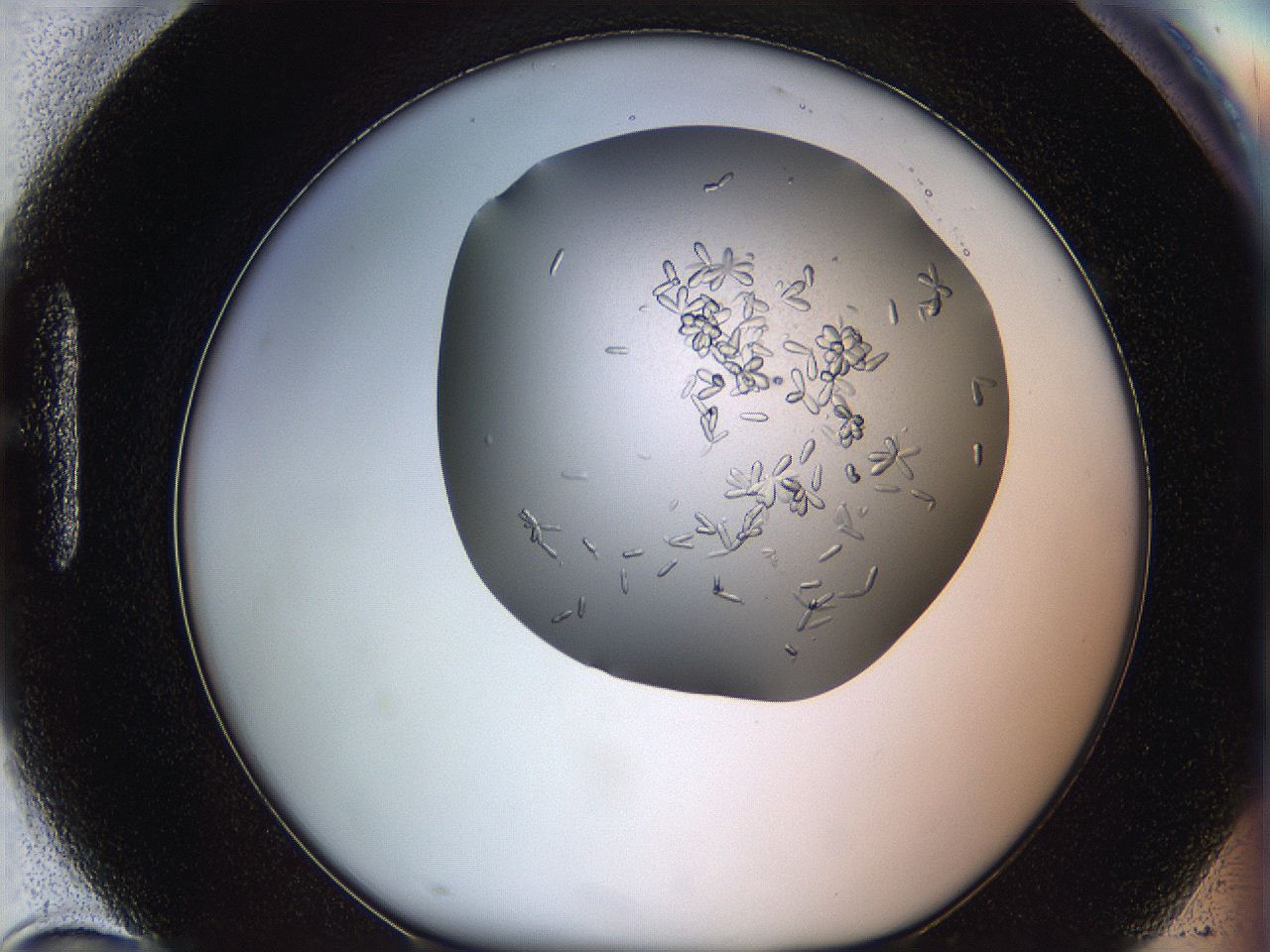 0695_H10_ImagerDefaults_7.jpg