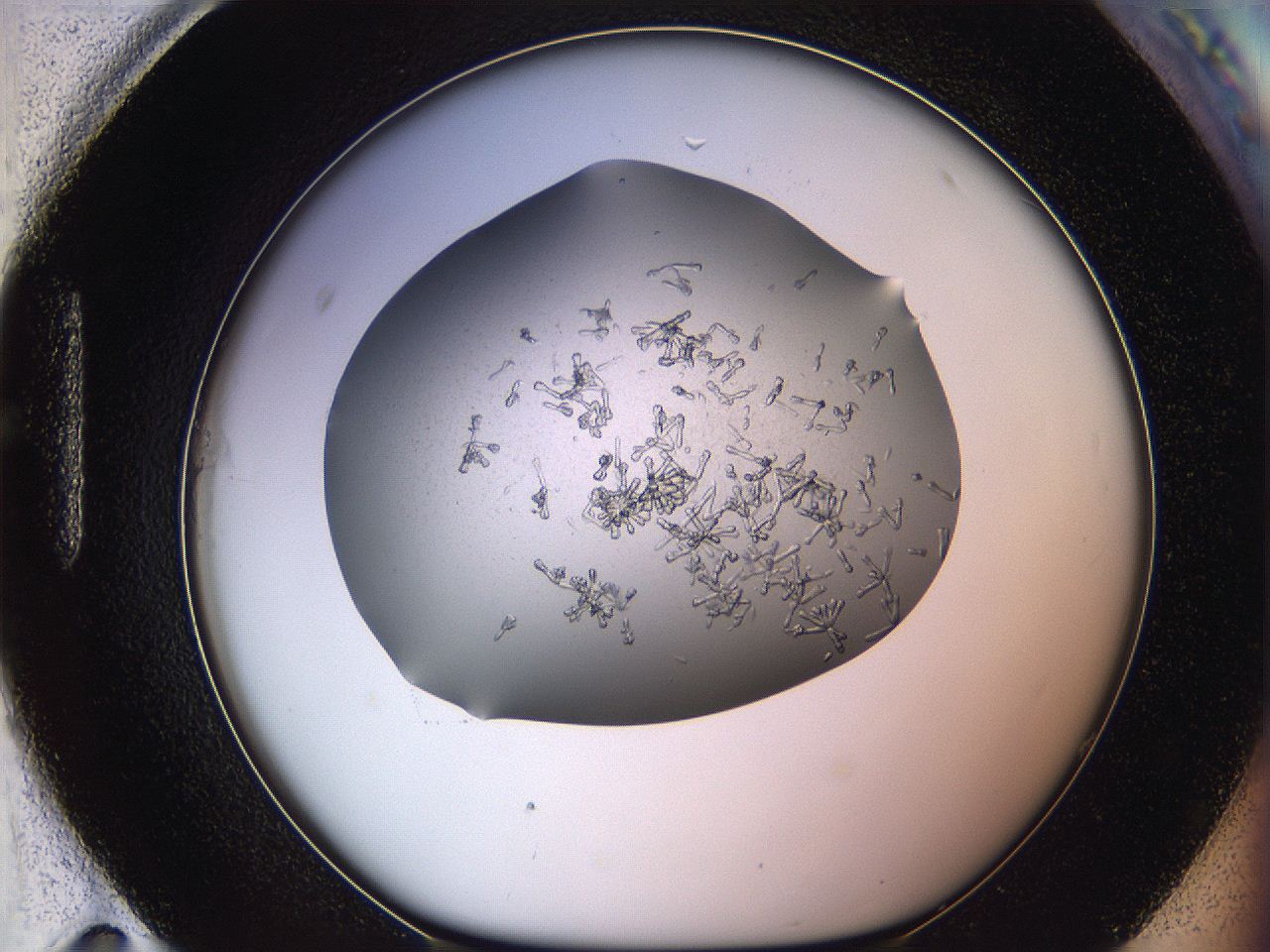 0695_H11_ImagerDefaults_7.jpg