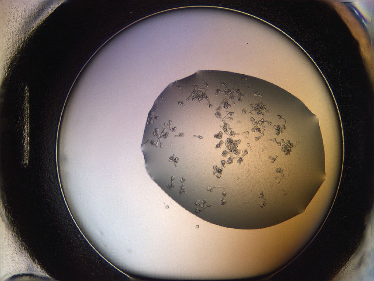 0695_H12_ImagerDefaults_7.jpg