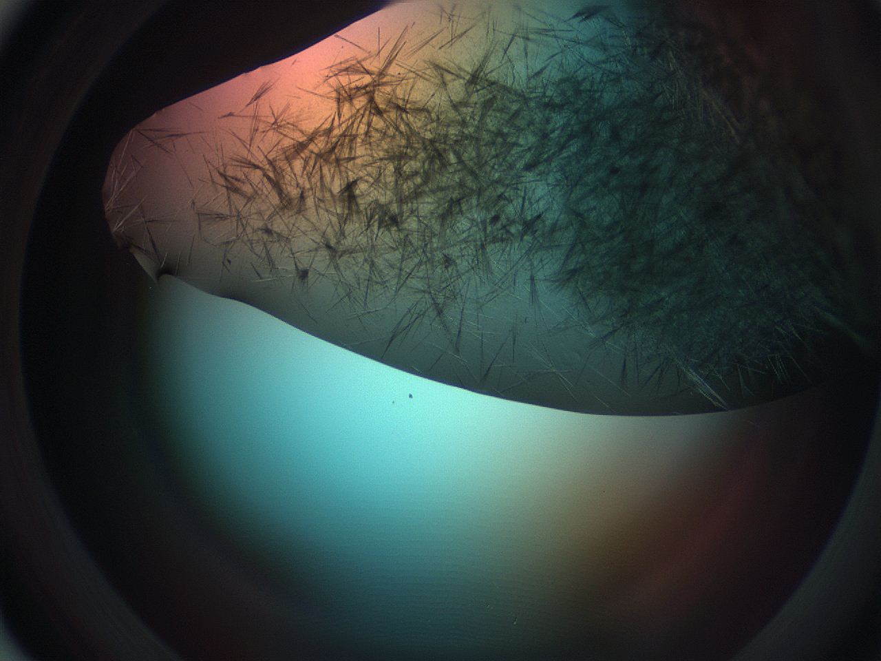 0699_A4_ImagerDefaults_7.jpg