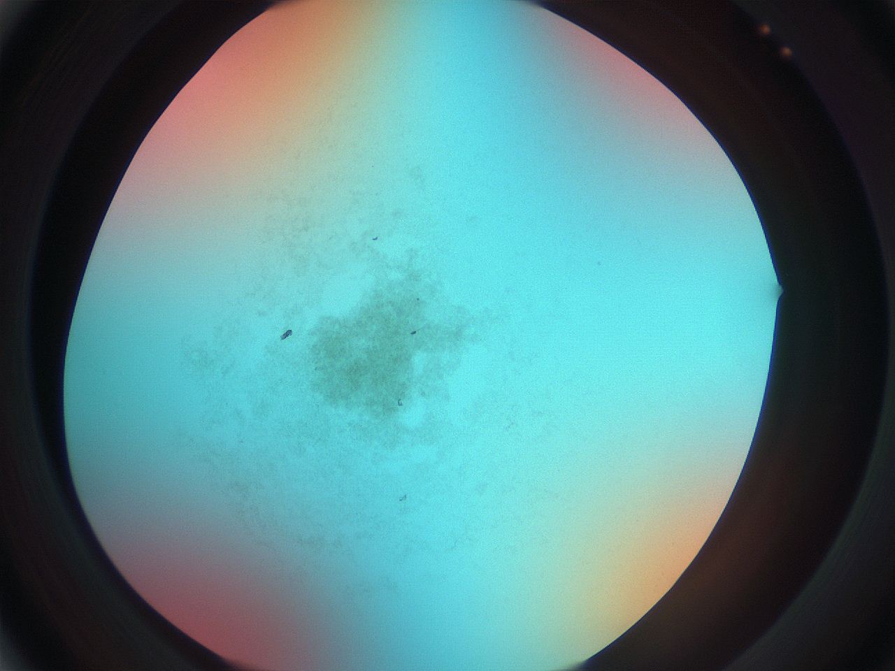 0699_A5_ImagerDefaults_0.jpg