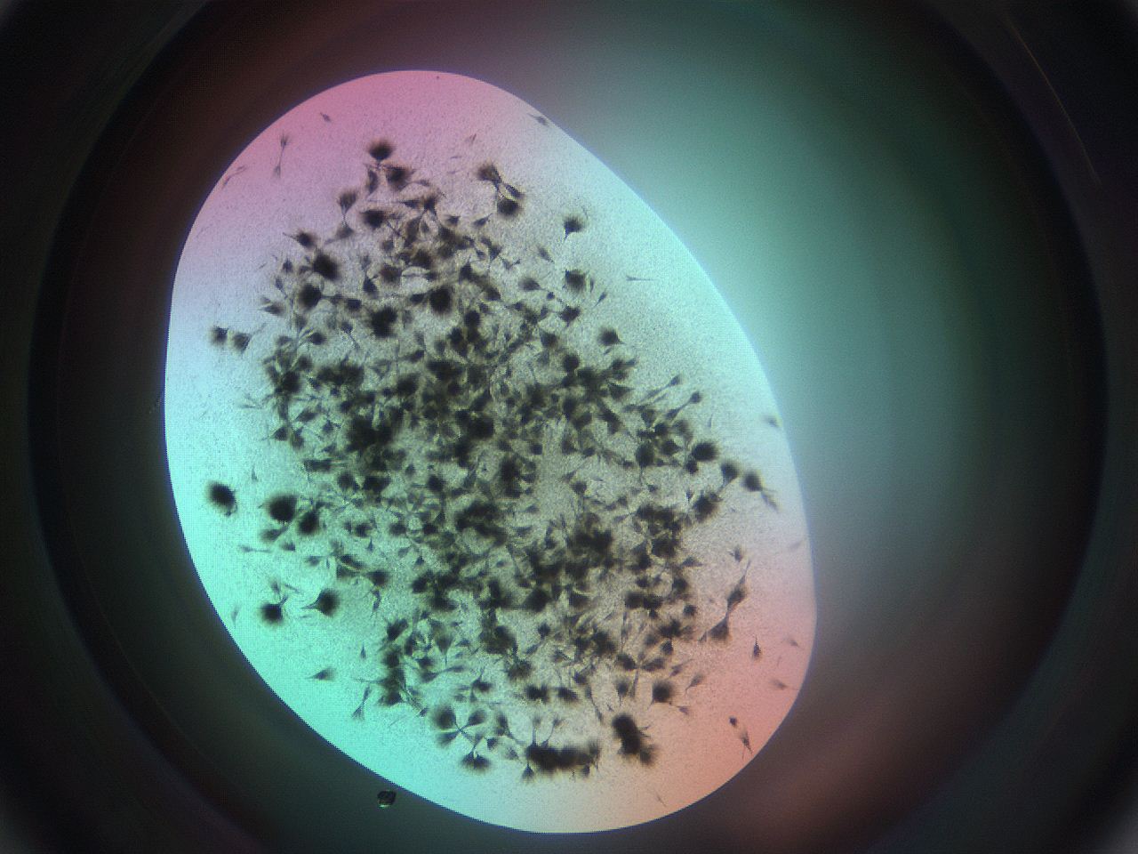 0699_B1_ImagerDefaults_7.jpg