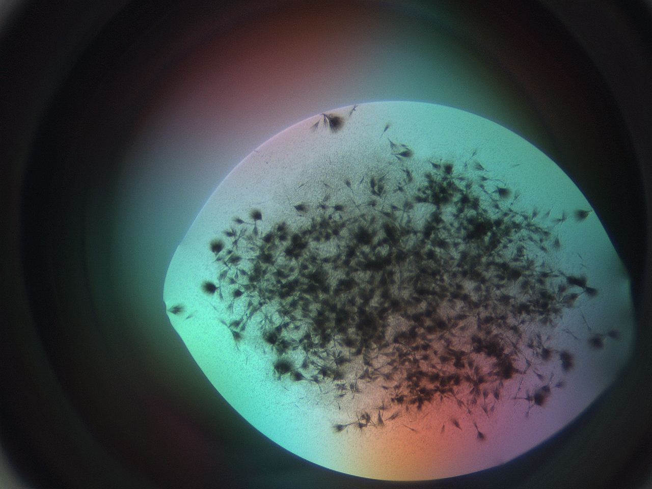 0699_B2_ImagerDefaults_7.jpg