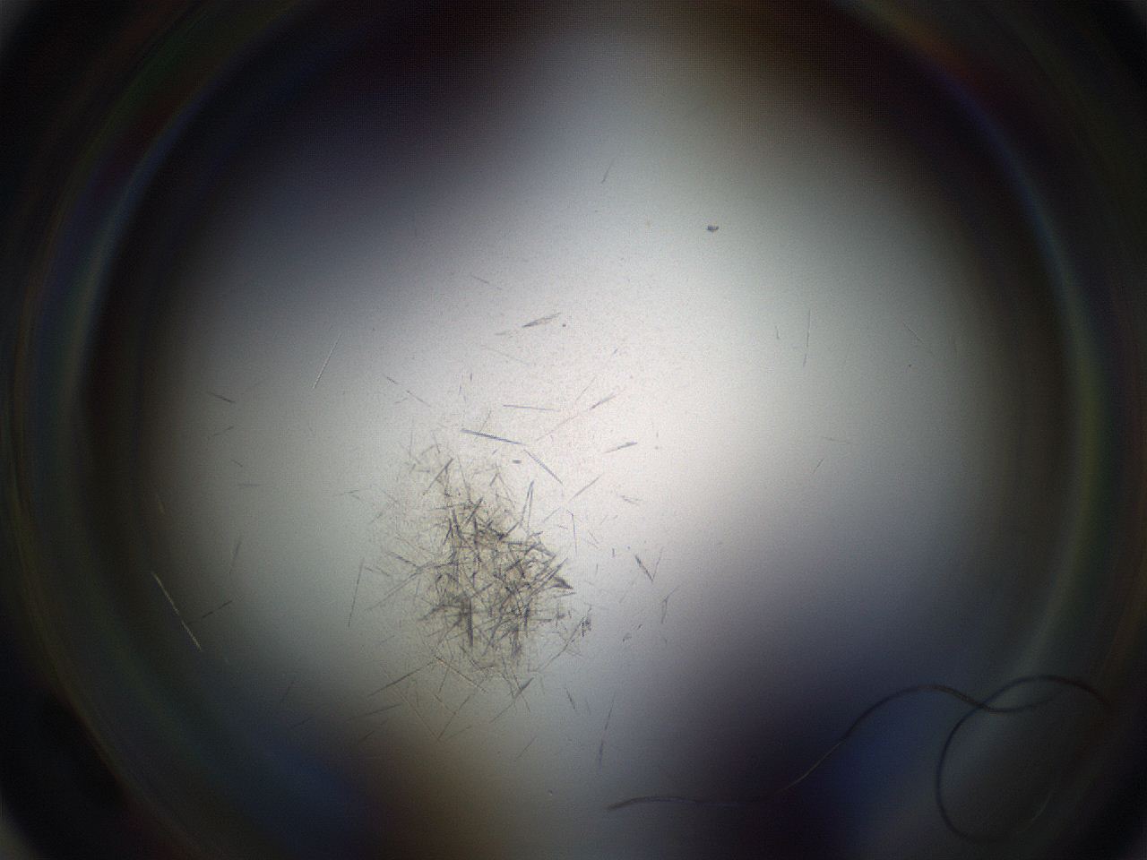 0699_A3_ImagerDefaults_7.jpg
