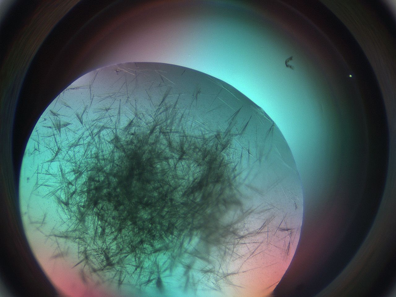 0699_A2_ImagerDefaults_7.jpg