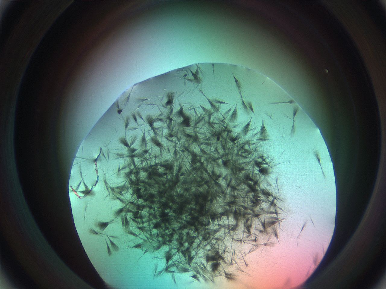 0699_A1_ImagerDefaults_7.jpg